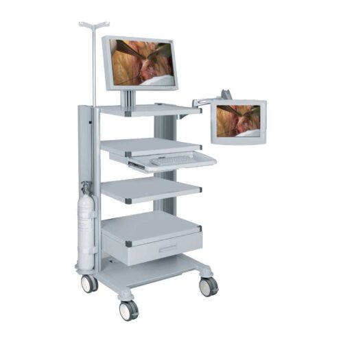 Carrello per endoscopia